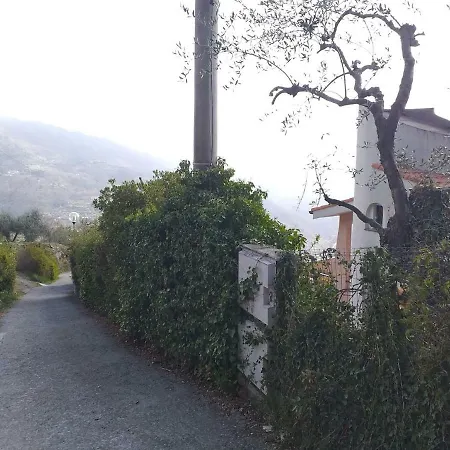 Eleonora